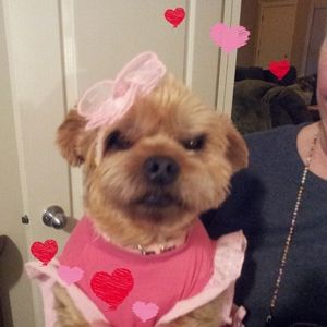 Meet your Posher, Bernice